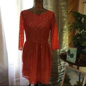 NWT, French Connection, Dress, Lace